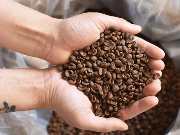 咖啡豆废水处理